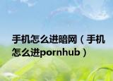 手机怎么进暗网（手机怎么进pornhub）