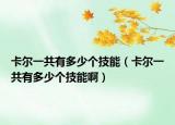 卡尔一共有多少个技能（卡尔一共有多少个技能啊）