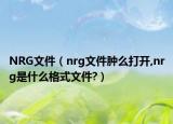NRG文件（nrg文件肿么打开,nrg是什么格式文件?）