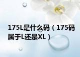 175L是什么码（175码属于L还是XL）