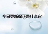 今日更新保正是什么官