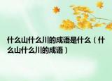 什么山什么川的成语是什么（什么山什么川的成语）