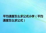 平均速度怎么求公式小学（平均速度怎么求公式）
