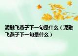 泥融飞燕子下一句是什么（泥融飞燕子下一句是什么）