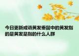 今日更新成语黄发垂髫中的黄发指的是黄发是指的什么人群