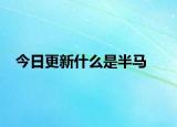 今日更新什么是半马