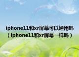 iphone11和xr屏幕可以通用吗（iphone11和xr屏幕一样吗）