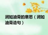 润如油膏的意思（润如油膏造句）