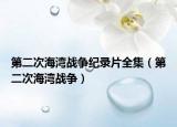第二次海湾战争纪录片全集（第二次海湾战争）