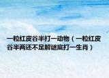 一粒红皮谷半打一动物（一粒红皮谷半两还不足解谜底打一生肖）