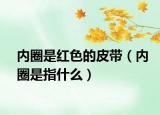 内圈是红色的皮带（内圈是指什么）