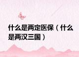 什么是两定医保（什么是两汉三国）