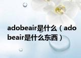 adobeair是什么（adobeair是什么东西）