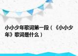 小小少年歌词第一段（《小小少年》歌词是什么）