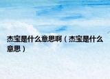 杰宝是什么意思啊（杰宝是什么意思）