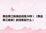 惠崇春江晚景的诗意20字（《惠崇春江晚景》的诗意是什么）
