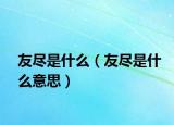 友尽是什么（友尽是什么意思）