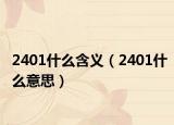 2401什么含义（2401什么意思）