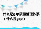 什么是gsp质量管理体系（什么是gsp）