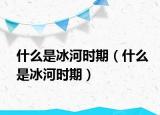 什么是冰河时期（什么是冰河时期）