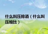 什么叫压排酒（什么叫压缩比）