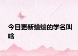 今日更新蛐蛐的学名叫啥