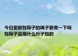 今日更新包粽子的绳子要煮一下吗 包粽子是用什么叶子包的