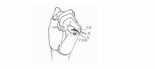 俗话说生男，生女，命中早已注定，伸出手来看看生育线就知道