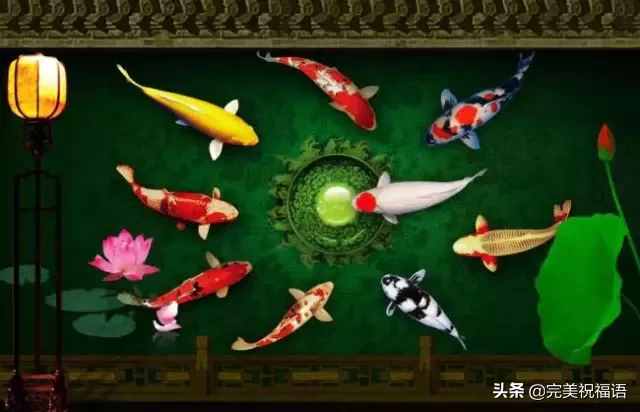 大年初二，一曲《好运来》祝您新春快乐