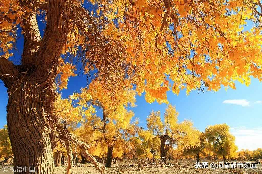 这对恋人躲在荒漠40年，妻子去世后他做了一个决定，感动数人……