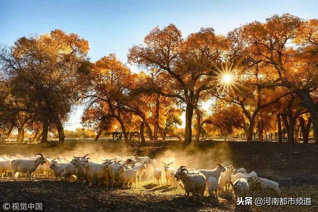 这对恋人躲在荒漠40年，妻子去世后他做了一个决定，感动数人……
