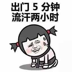 头伏适合吃什么馅儿的饺子？康叔给大家推荐这种，营养特别好