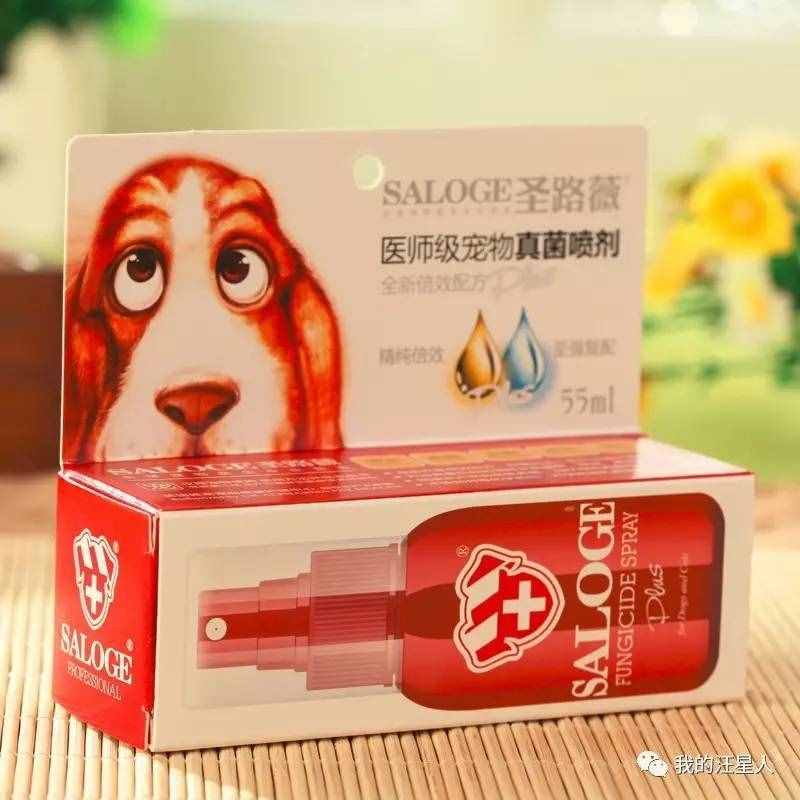 狗狗得了真菌性皮肤病该怎么办？