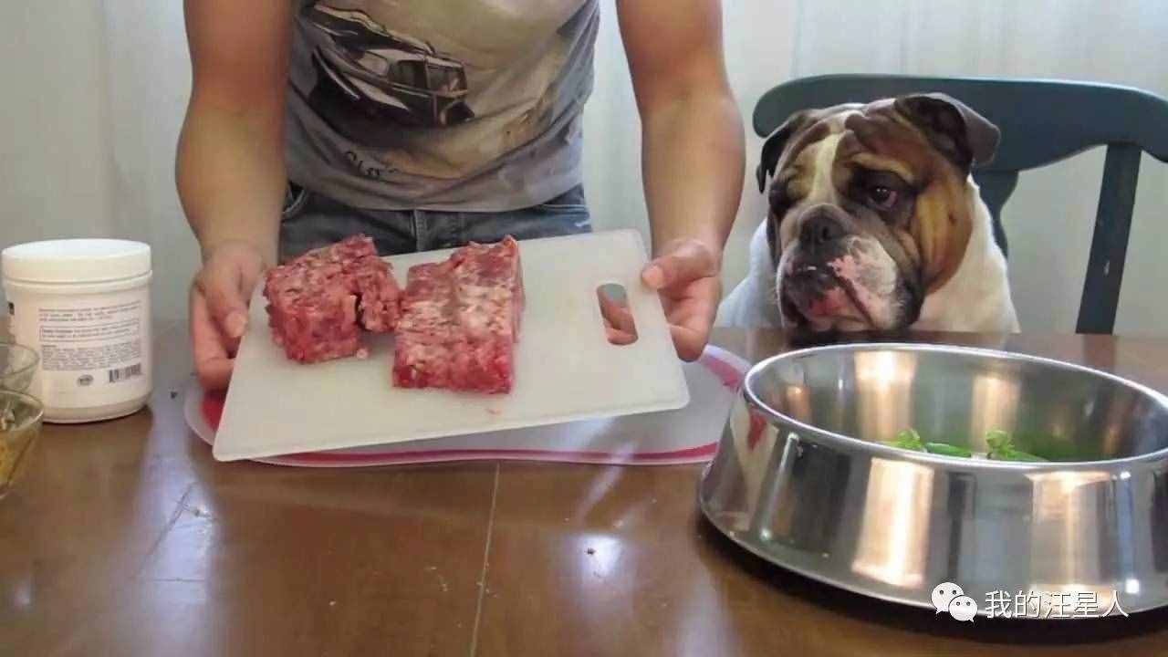 狗狗得了真菌性皮肤病该怎么办？