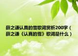 薛之谦认真的雪歌词赏析200字（薛之谦《认真的雪》歌词是什么）