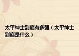 太平绅士到底有多强（太平绅士到底是什么）