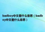 badboy中文是什么意思（badboy中文是什么意思）
