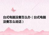 台式电脑没麦怎么办（台式电脑没麦怎么说话）
