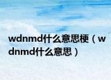 wdnmd什么意思梗（wdnmd什么意思）