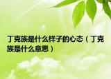 丁克族是什么样子的心态（丁克族是什么意思）