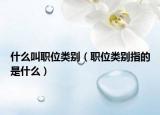 什么叫职位类别（职位类别指的是什么）