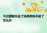 今日更新失业了抚养费给不起了怎么办