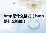 bmp是什么格式（bmp是什么格式）