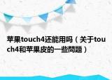 苹果touch4还能用吗（关于touch4和苹果皮的一些問題）