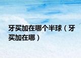 牙买加在哪个半球（牙买加在哪）
