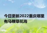 今日更新2022重庆哪里有马鞭草花海