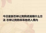 今日更新怎样让狗狗进洞用什么方法 怎样让狗狗乖乖地进入笼内