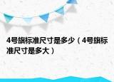 4号旗标准尺寸是多少（4号旗标准尺寸是多大）