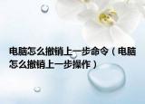 电脑怎么撤销上一步命令（电脑怎么撤销上一步操作）