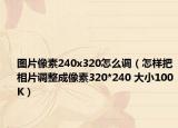 图片像素240x320怎么调（怎样把相片调整成像素320*240 大小100K）